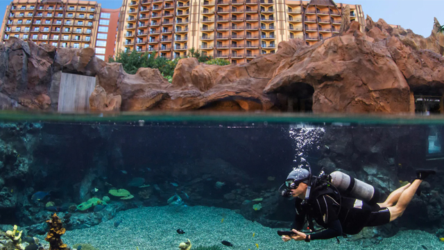 Aulani Spa Diving