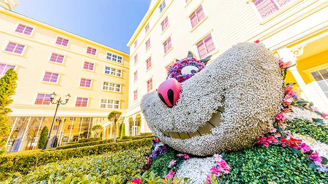 Hotel Celebration Outdoors